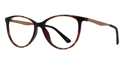 AirMag AP6471 C3 Tortoise / Brown