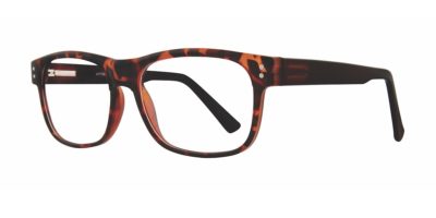 Affordable Designs - William - Tortoise