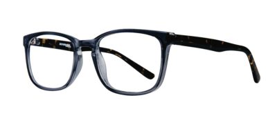 Affordable Designs - Harry - Blue Tortoise