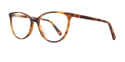 Eight to Eighty Kitty - Tortoise