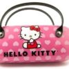Hello Kitty Case