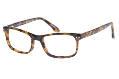 O'Neill Trent 102 - Gloss Tortoise