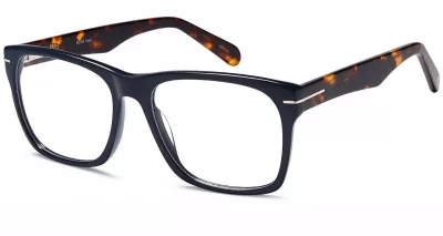 Capri DC354 Blue Tortoise