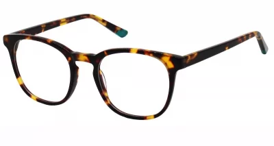 Psycho Bunny PB 121 1 Tortoise