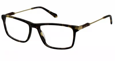 Tony Hawk TH576 2 Tortoise / Gold