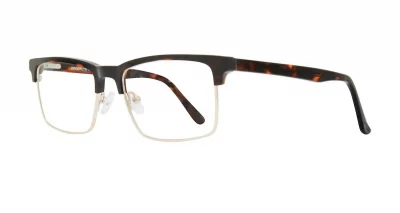 Brooklyn Heights Ebbets - Tortoise Gold