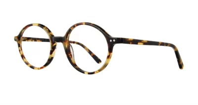 Eight to Eighty Brandon - Tortoise