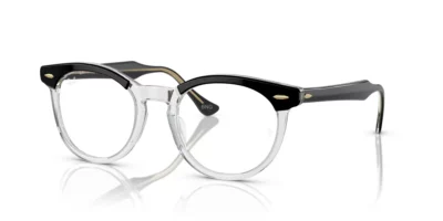 Ray-Ban RX5598 2034 - Black on Transparent