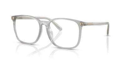 Coach HC6254BD 5614 - Transparent Dove