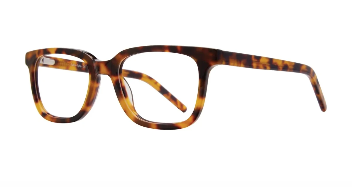 Eight to Eighty Van - Tortoise