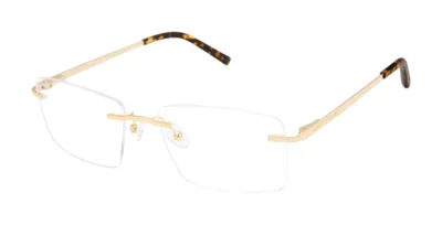 Perry Ellis PE495 2- Gold
